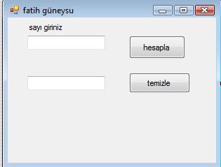 form-goruntusu form-goruntusu