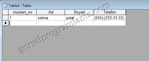metin_alan_turu_giris_maskesi