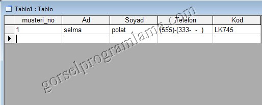 metin_alan_turu_giris_maskesi10