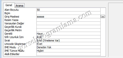 metin_alan_turu_giris_maskesi11