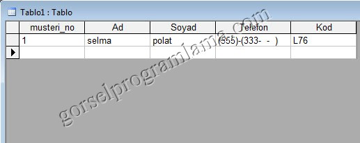 metin_alan_turu_giris_maskesi12