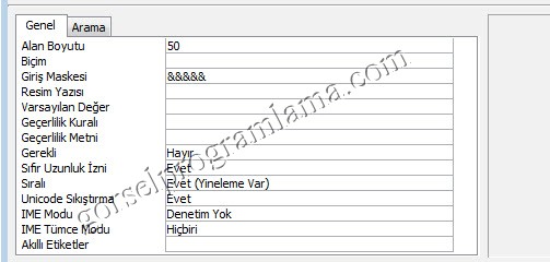 metin_alan_turu_giris_maskesi15