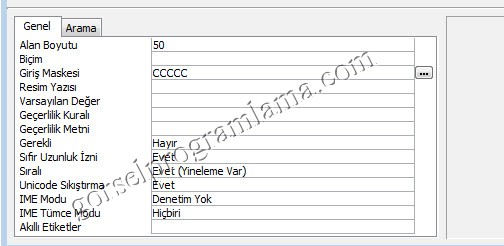 metin_alan_turu_giris_maskesi16
