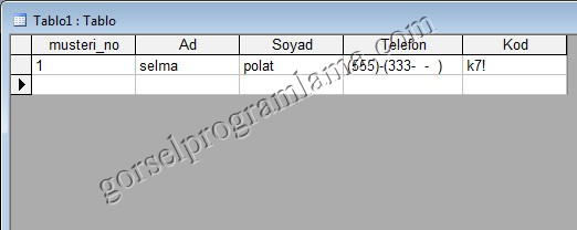 metin_alan_turu_giris_maskesi17