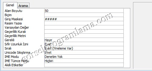 metin_alan_turu_giris_maskesi18