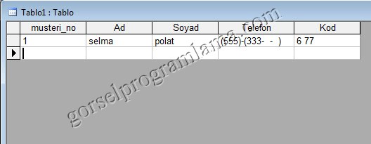 metin_alan_turu_giris_maskesi19