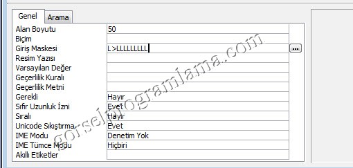 metin_alan_turu_giris_maskesi22
