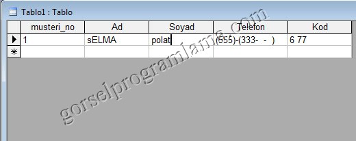 metin_alan_turu_giris_maskesi23