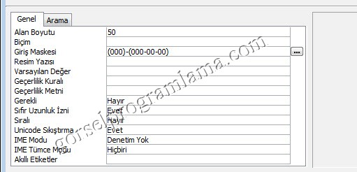 metin_alan_turu_giris_maskesi26