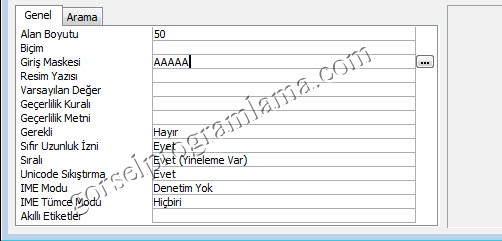 metin_alan_turu_giris_maskesi27