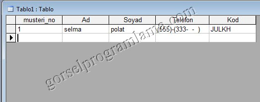 metin_alan_turu_giris_maskesi6