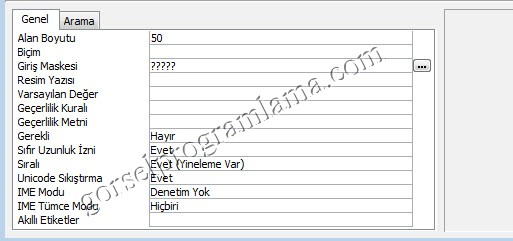 metin_alan_turu_giris_maskesi7