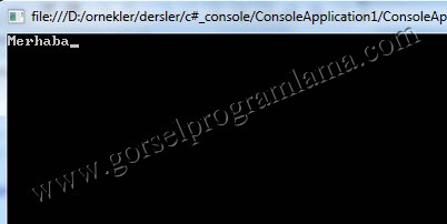 metnin_ekrana_yazdirilmasi_csharp_console