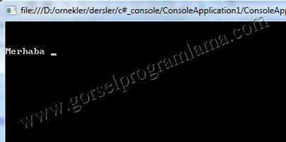 metnin_ekrana_yazdirilmasi_csharp_console5