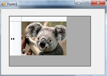 datagirdview_resim_goster3