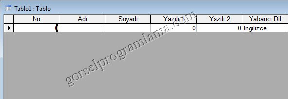 varsayilan_deger2