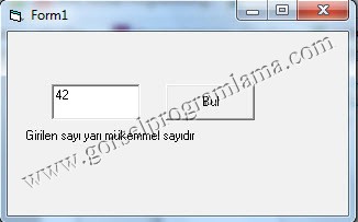 yari_mükemmel_sayivb6