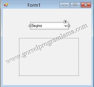 combo_seciline_gore_resim