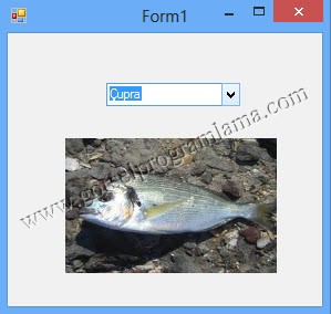 combo_seciline_gore_resim2