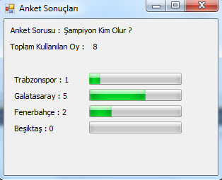 anket13