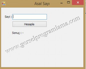 asalSayi1