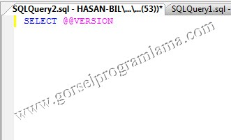 versiyon3