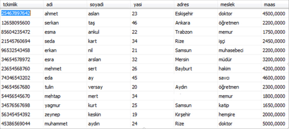 veritaborg2_1