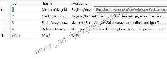 bunu_mu_demek_istediniz