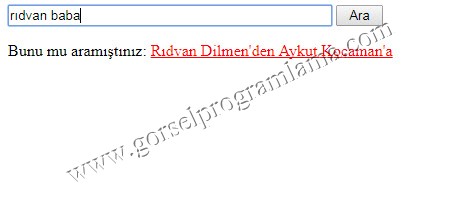 bunu_mu_demek_istediniz2