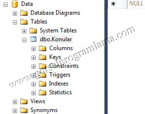 bunu_mu_demek_istediniz3
