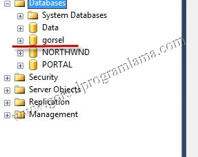 sql_uzantili_dosyayi_ac5
