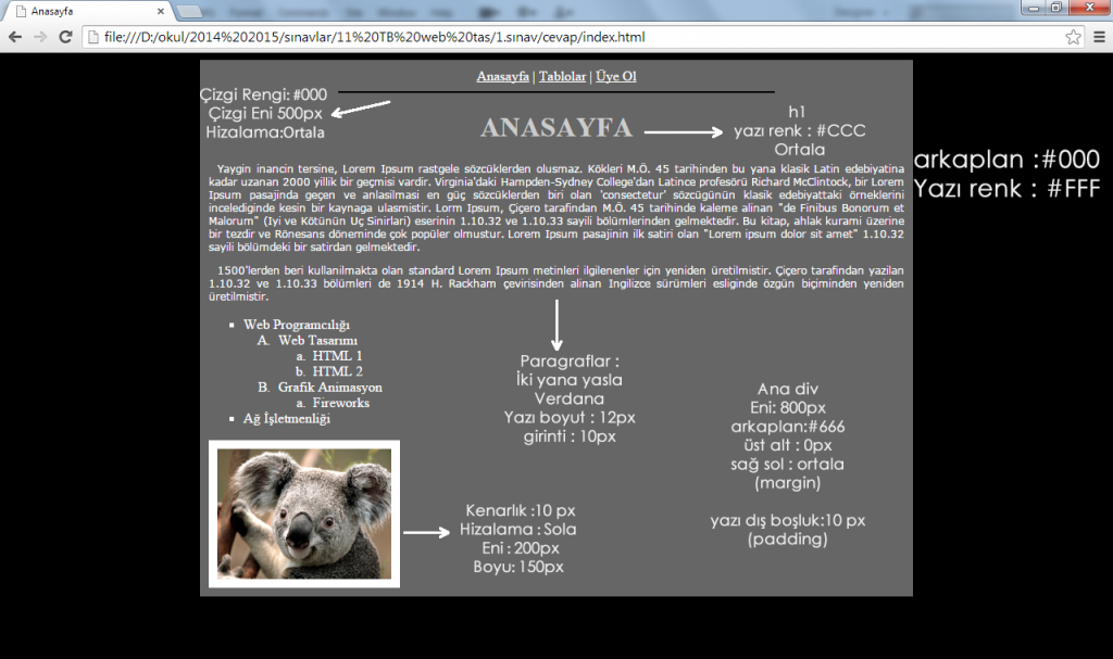 anasayfa